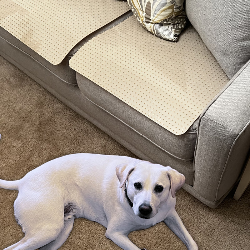 Couch deterrent for dogs shop